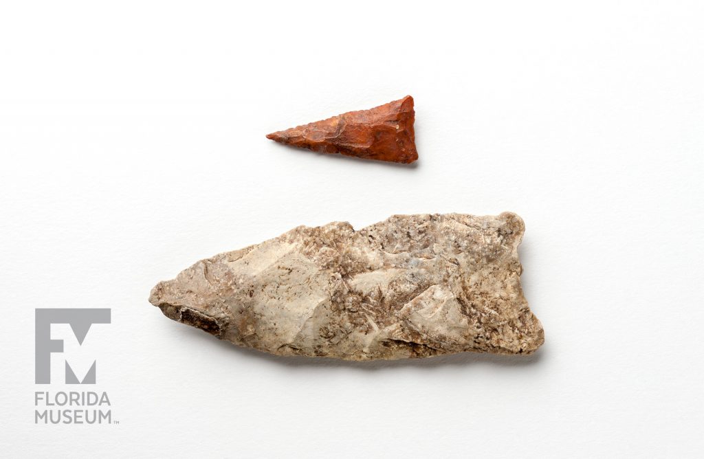 two Projectile Points showing the size difference. One is small red triangle with a long sharp point, the other is many times larger, one end squared off the other end sharpened to a point