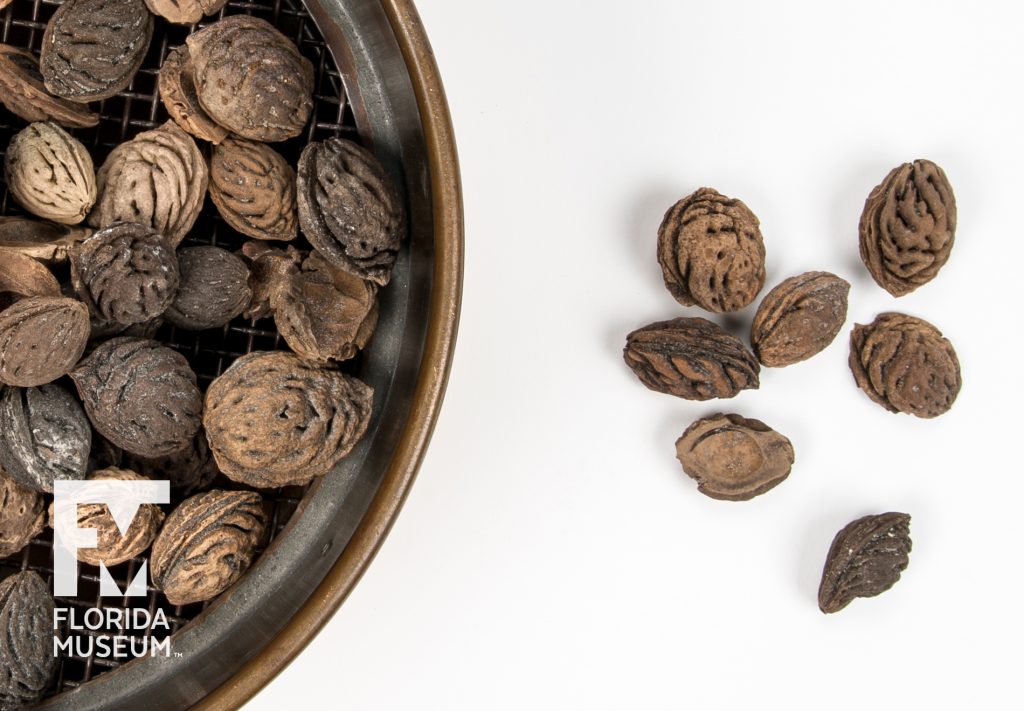 small pile of peach pits set next to a containers holding more pits