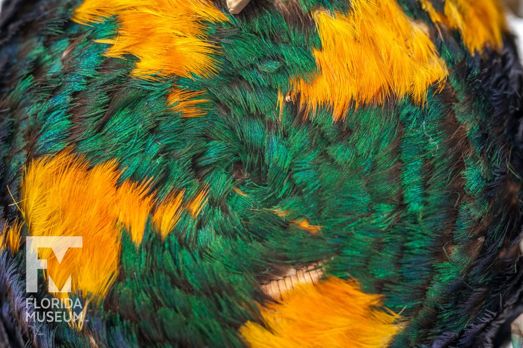 close up of blue-green and yellow feathers decorating the coiled basket