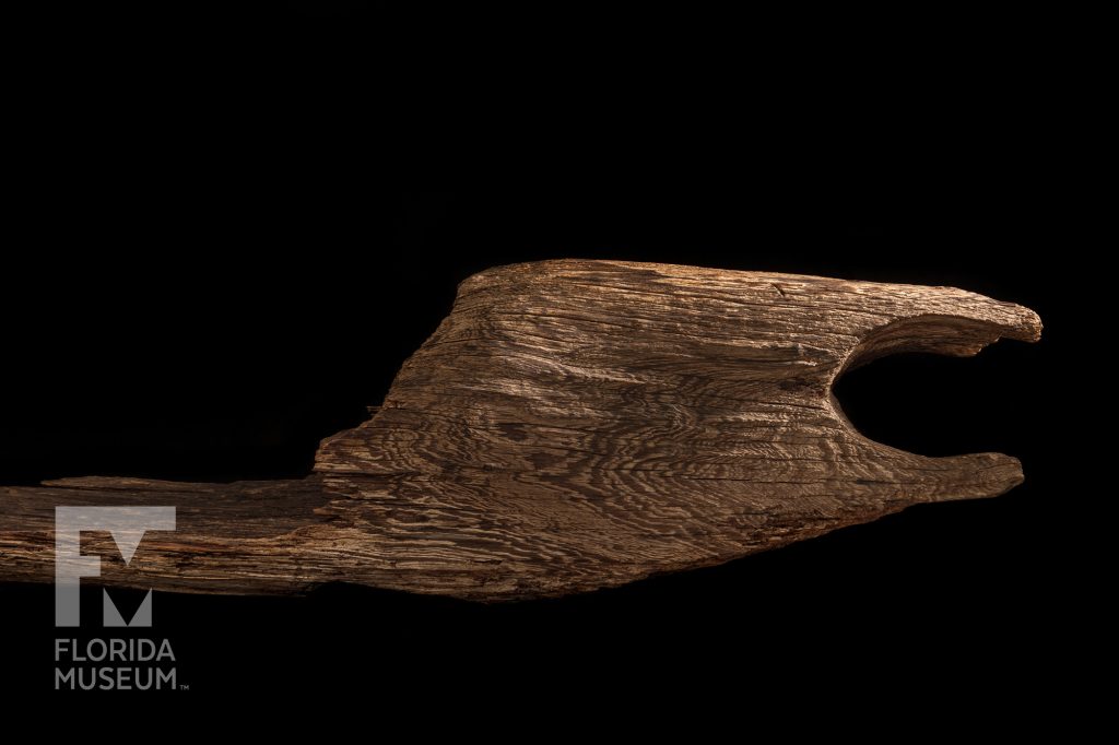 Withlacoochee River Canoe