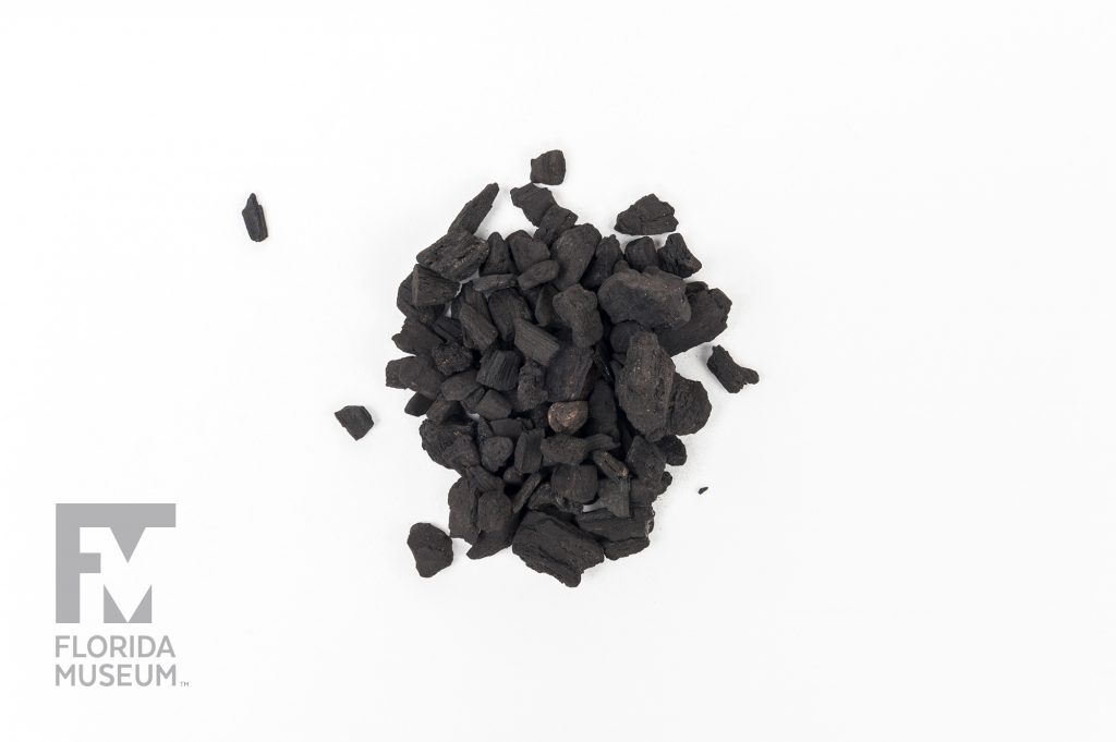 small pile of small chips of charred wood photographed on a white background