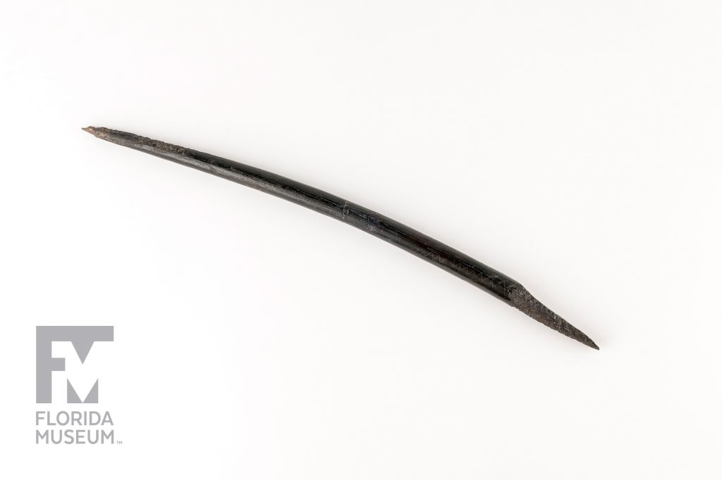 long lightly curved black tusk with one end carved to a sharp point