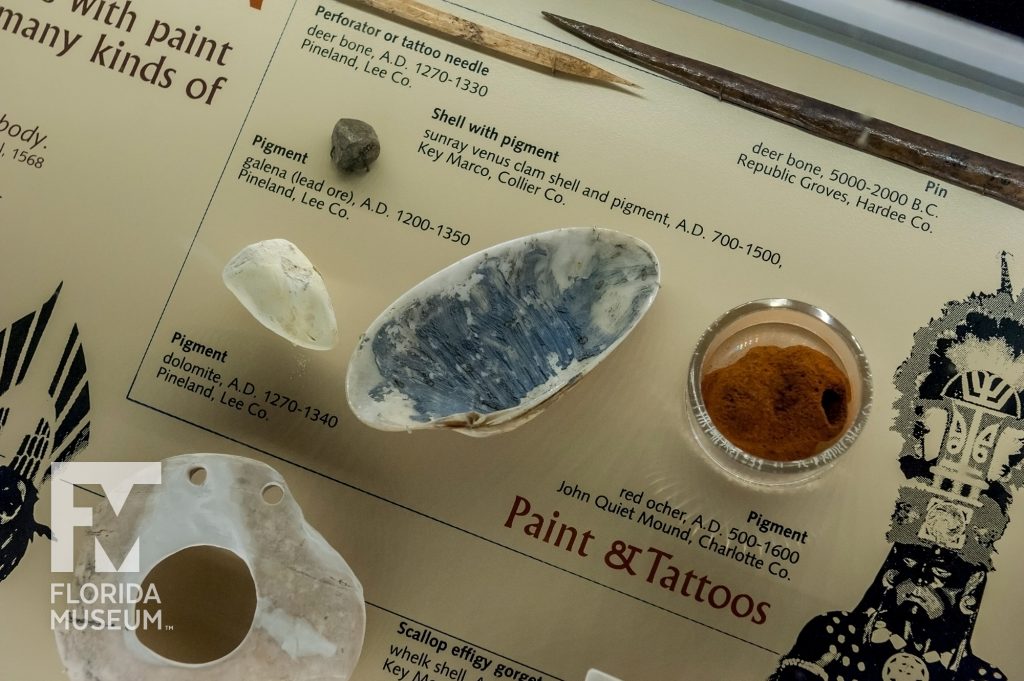 display of pigment from various time periods. A blue pigment is in a white shell, a red pigment is in a small glass bowl. Two small rocks, a white dolomite and dark brown galena lead ore were also used as pigment. At the top of the display are two deer bones that have been sharpened to a fine point.