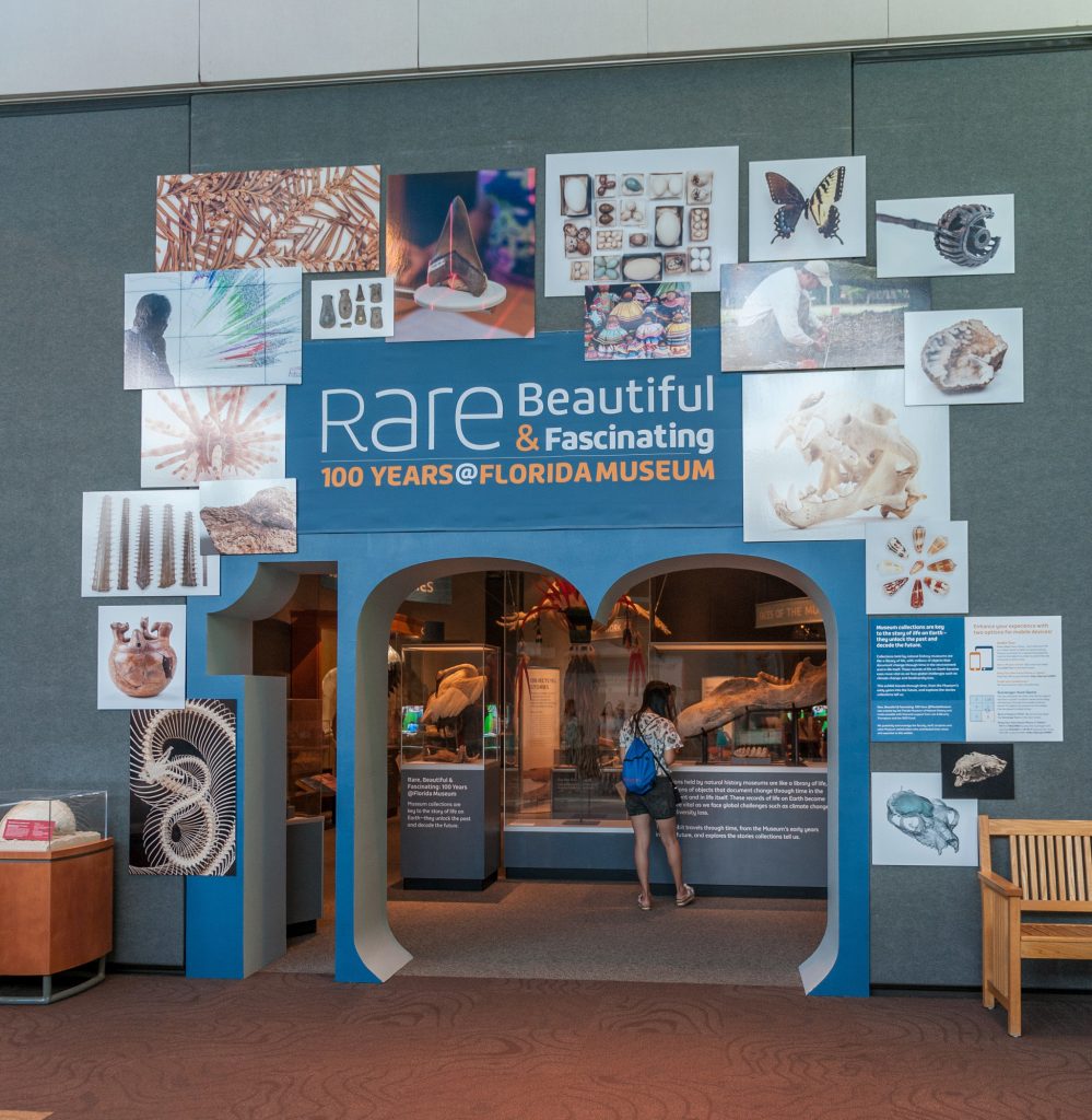 entrance to the Rare & beautiful exhibit doorway is a cut out ‘100’ and is surrounded by many photos of items on display