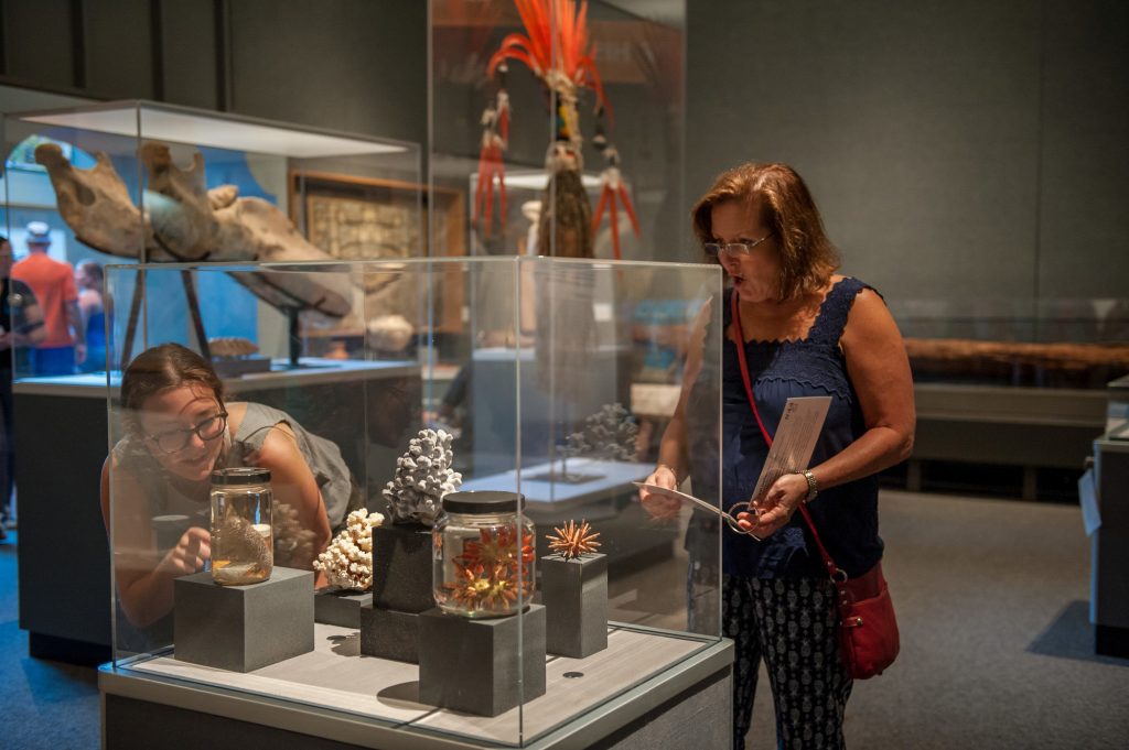 visitors appear excited as they look closely at items on display. One visitor holds a booklet with information about the items