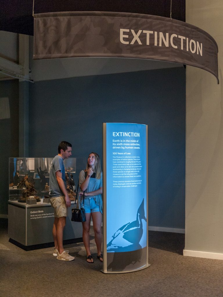 visitor stand next to a tall display panel with information on extinction