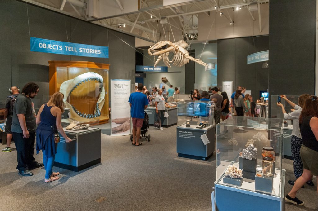 many visitors looking at the various items displayed in the 100 years exhibit