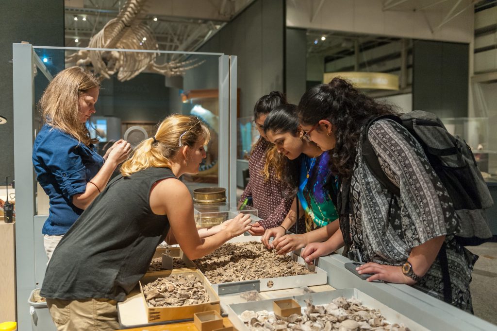 several visitors lean over and touch trays of small bones on display