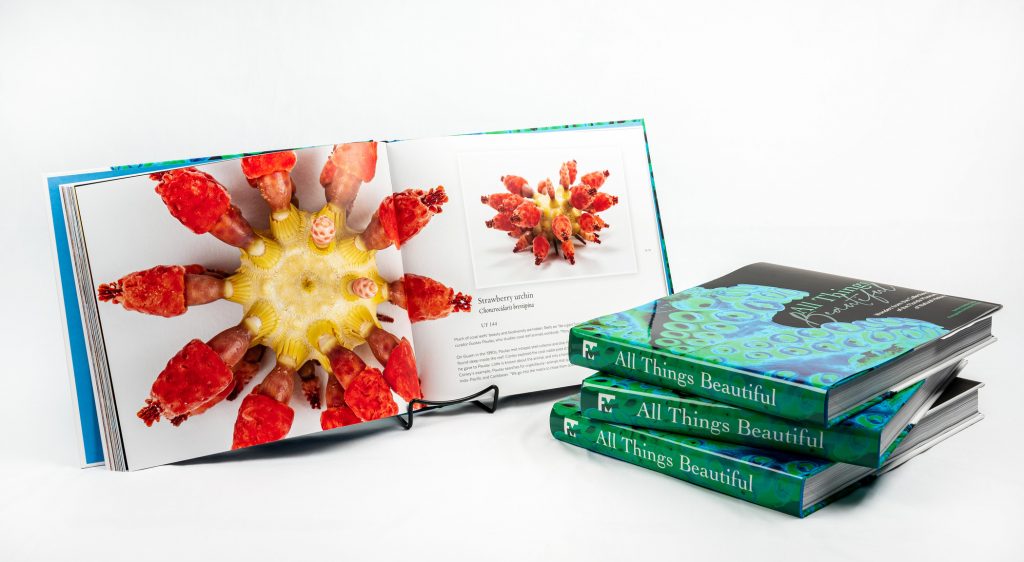 Open book showing pages with strawberry urchin is propped open next to a stack of three books
