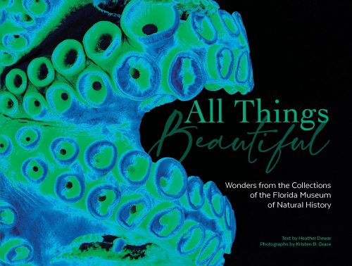 All Things Beautiful book's dust jacket