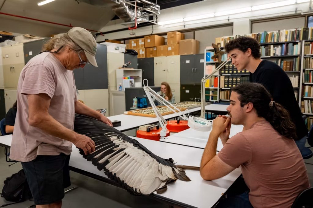 person showing students a large wing specimen