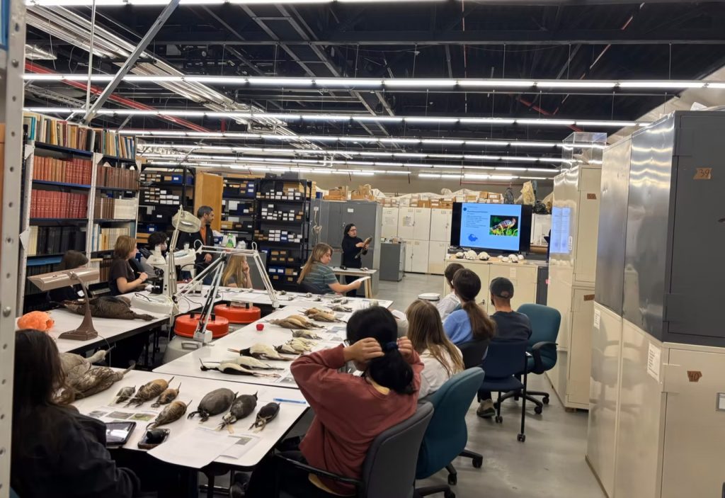 people sitting around tables set with many bird specimens