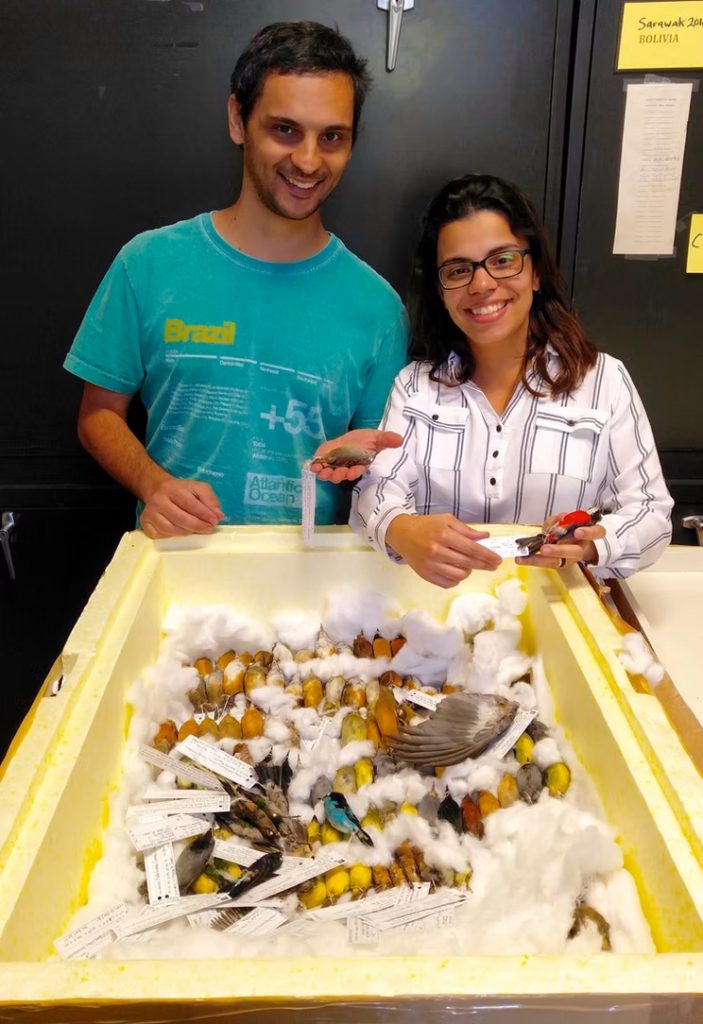 two researchers standing in front of a large bin filled with many bird specimens
