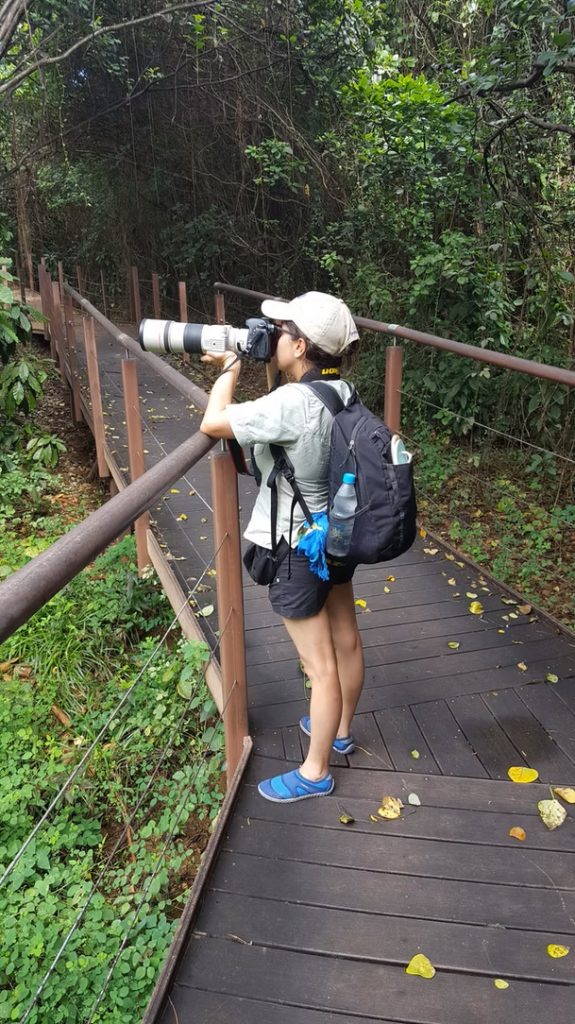 person standing on a wood boardwalk and using a camera with a long zoom lens