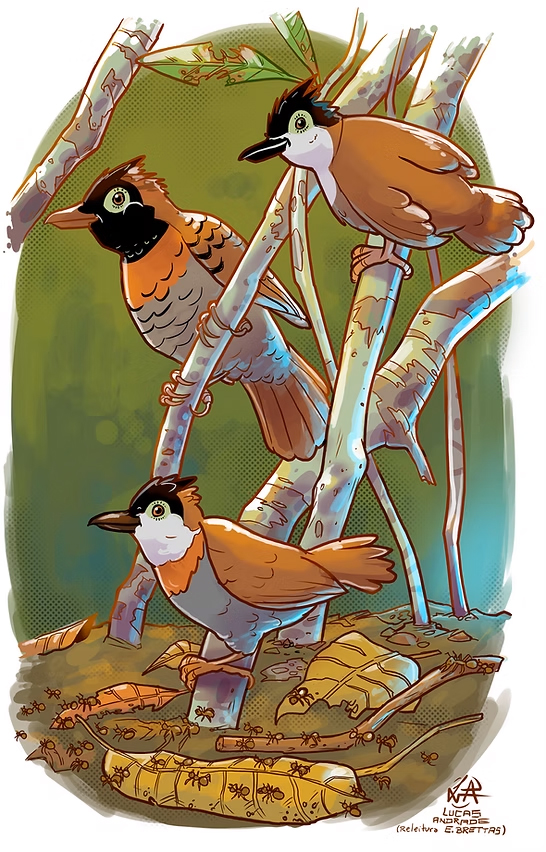 illustration of several birds and insects