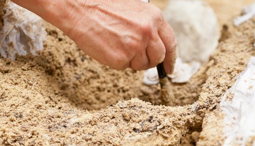 hand using brush on dirt