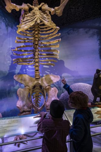 two young museum visitors point and talk about a towering giant sloth fossil in a museum hall