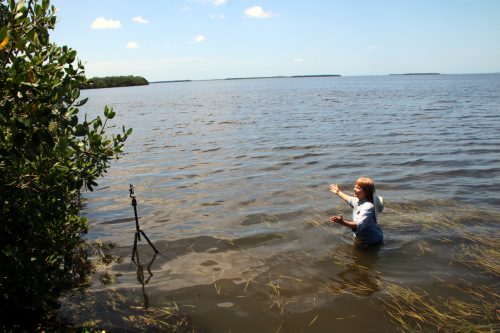 Educator live-streaming from the estuary