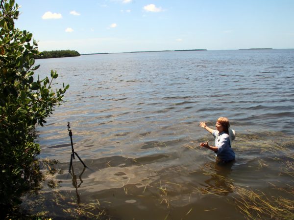 Educator live-streaming from the estuary