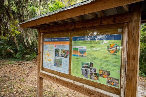 McCarty Woods bulletin board with posters