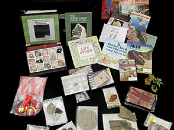Array of teaching materials from trunks