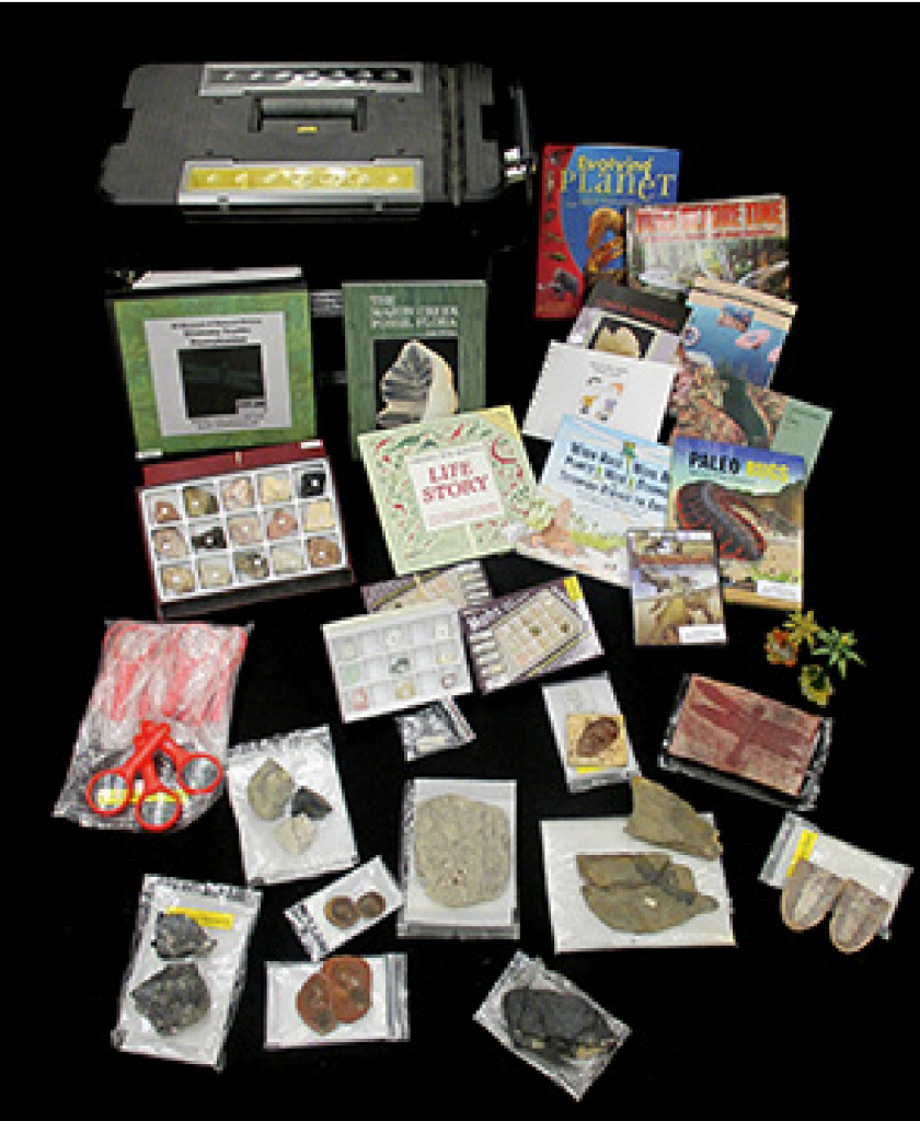Array of teaching materials from trunks