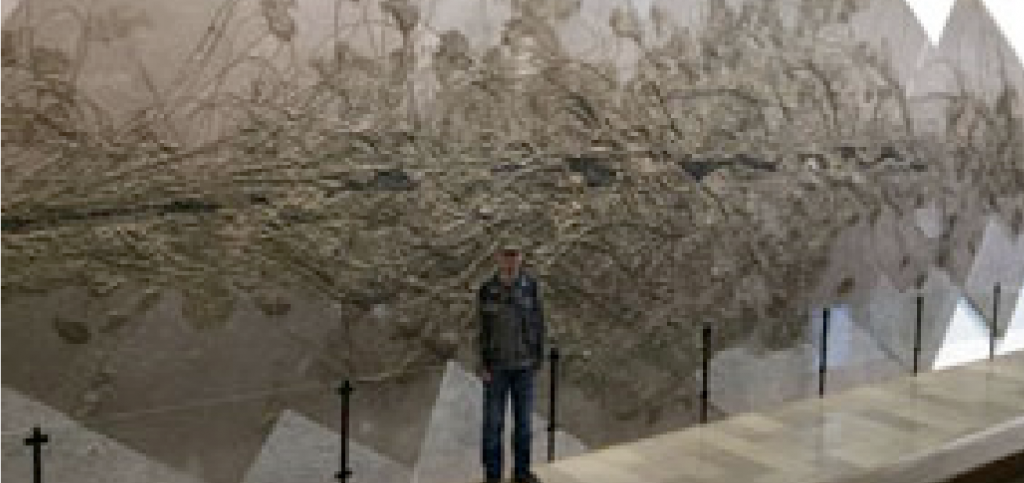 Wall of crinoid fossils growing on a log (horizontal, in center) with University of Tuebingen paleontology graduate student Martin Cotte.