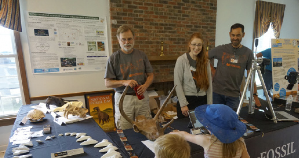 The FOSSIL table display