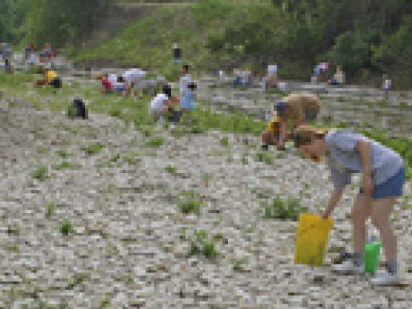 Dallas Paleontological Society event