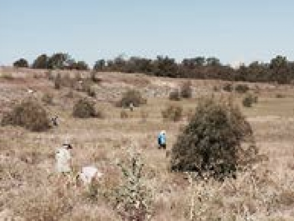 Jacksboro Field Site (DPS Trip)