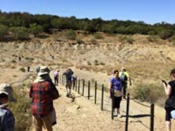 Mineral Wells (DPS Trip)