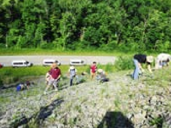 Exploring a Cincinnatian outcrop for Paleozoic Fossils;