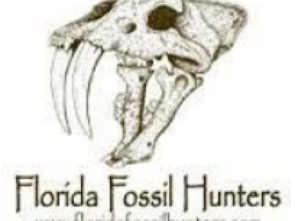 Florida Fossil Hunters logo
