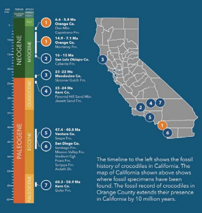 Graphic courtesy of Gabriel Santos.Graphic courtesy of Gabriel Santos.
