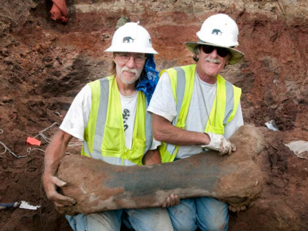 Tim Seeber (left) and Malcolm Bedell (right) with large Mastodon femur, Snowmass, Colorado, 2011