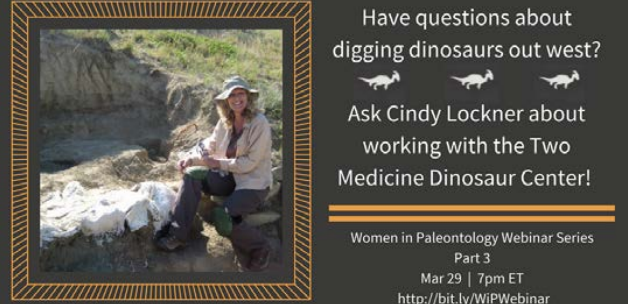 screenshot of Cindy's webinar