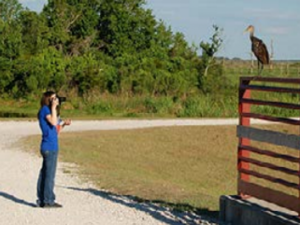 Photography on the Alachua Trail