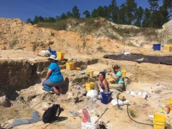 Site of the discovery. Photo courtesy of Jonathan Bloch.