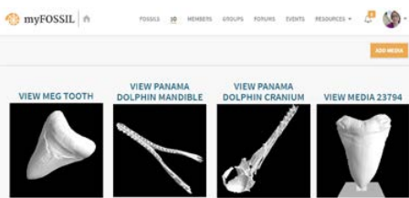 screenshot of gallery