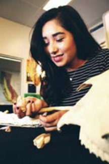 Undergraduate Michelle Barboza studied fossil horse teeth to refine 
the age of the Oso Member and 
also reported on crocodylian 
specimensfrom throughout 
California (Barboza et al. 2017). 
Photo credit Gabriel-Philip Santos
