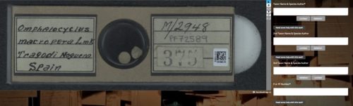 View of the project page