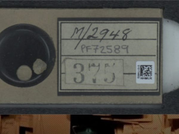 View of the project page