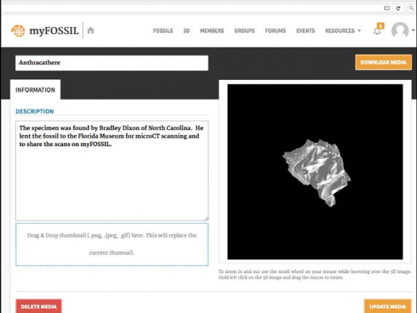 screenshot of 3D gallery