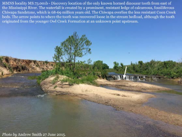 Photo of fossil locality within river