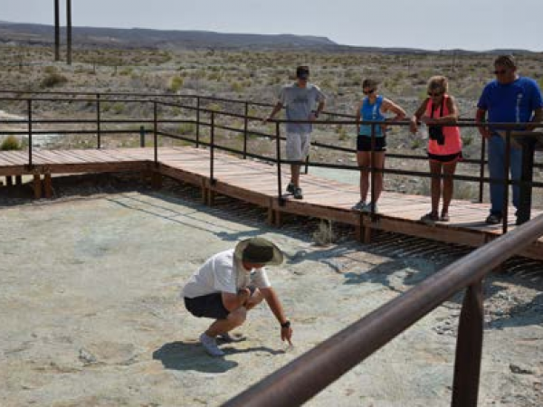 Nathan shows visitors a set of ankylosaur tracks at the Mill Canyon Dinosaur Tracksite.