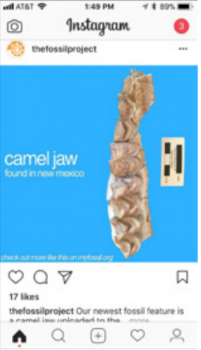 instagram screenshot