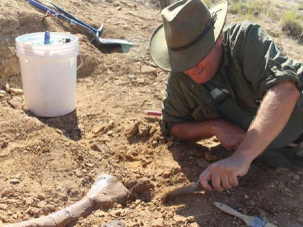 Exposing an Allosaurus fibula at “LZ Blue”
