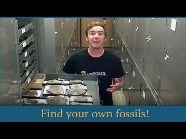 YouTube 50 States Series