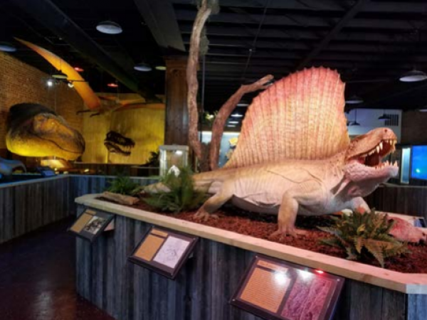 The Paleo Hall at the Whiteside Museum of Natural History