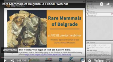 Belgrade webinar